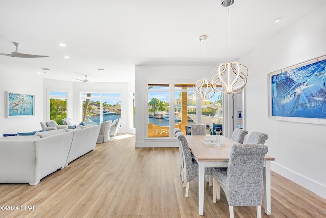 dining room featuring light hardwood / wood-style flooring and ceiling fan with notable chandelier