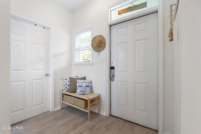 mudroom with light hardwood / wood-style floors
