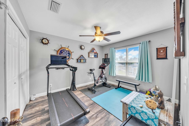 exercise room featuring ceiling fan and dark hardwood / wood-style flooring