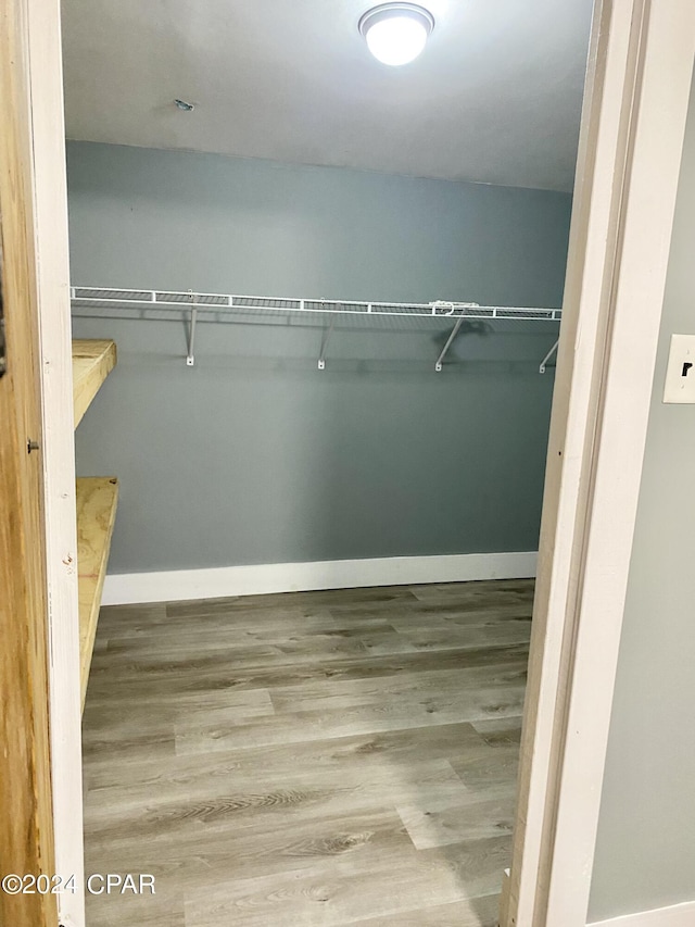 walk in closet featuring hardwood / wood-style flooring