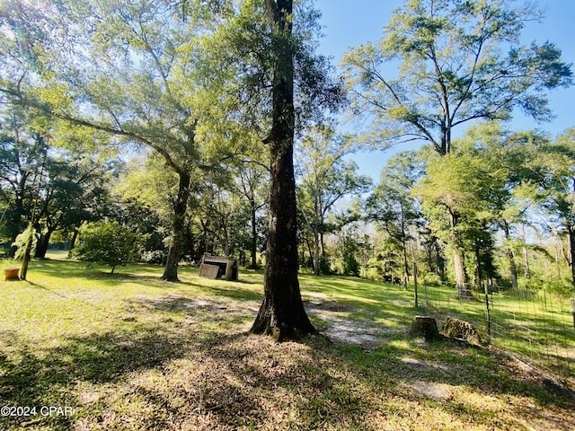 view of yard featuring a shed