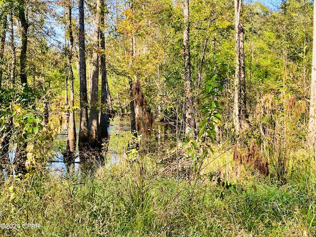 view of landscape