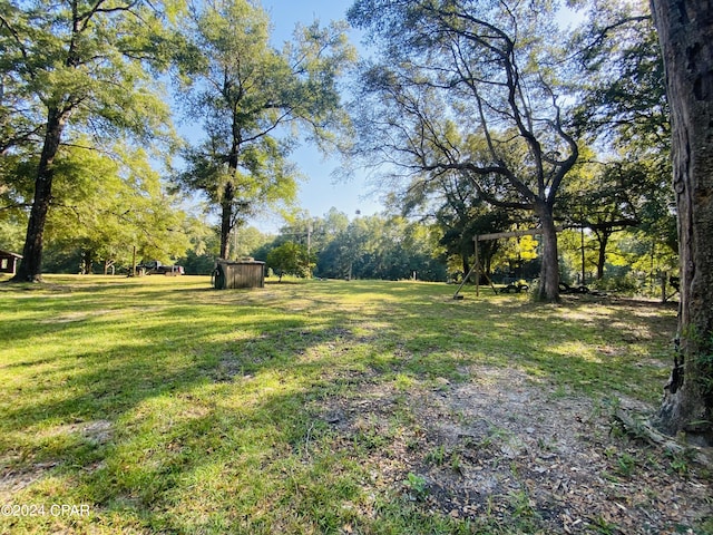 view of yard featuring a shed