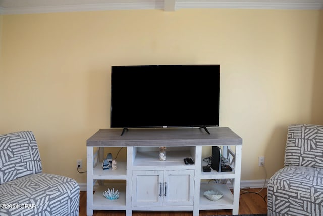 details featuring ornamental molding and hardwood / wood-style floors