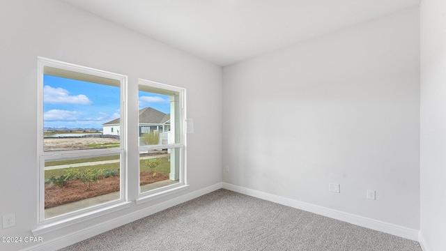 carpeted spare room with a wealth of natural light