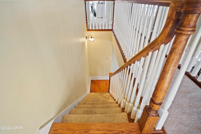 stairway with carpet