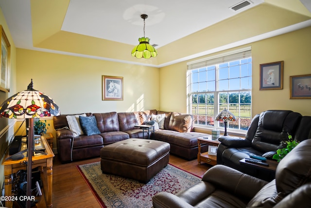 living room with a tray ceiling and dark wood-type flooring