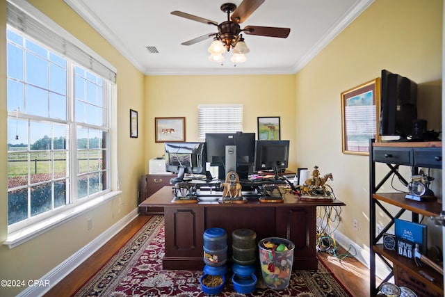 office with a healthy amount of sunlight, ornamental molding, and dark wood-type flooring