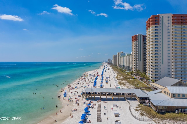 property view of water featuring a beach view