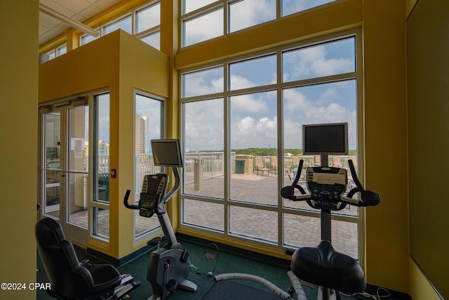 exercise room with a wealth of natural light and a high ceiling