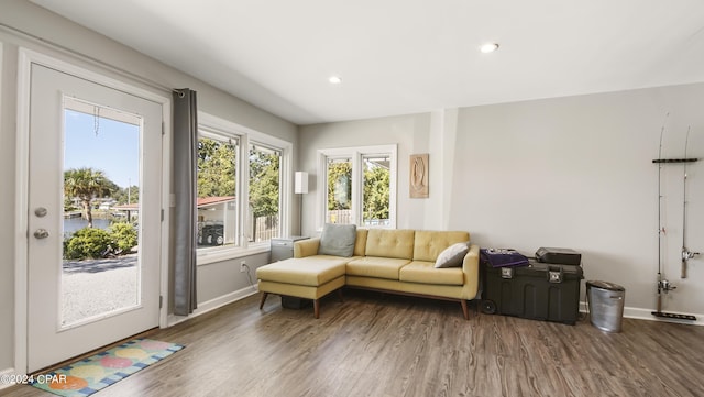 living room with dark hardwood / wood-style flooring