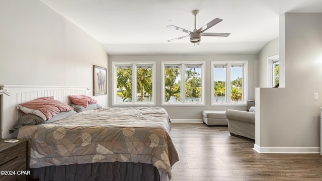 bedroom with lofted ceiling, dark wood-type flooring, and multiple windows