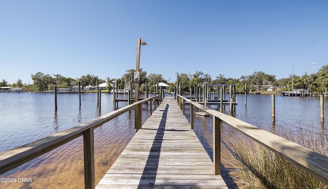 dock area with a water view