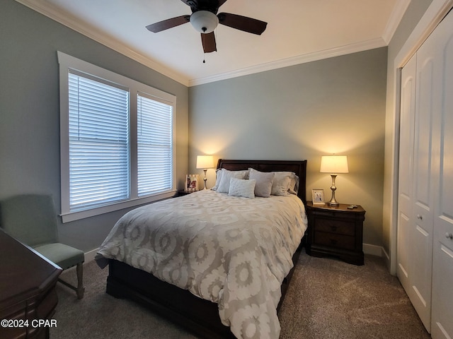 bedroom featuring a closet, ceiling fan, ornamental molding, and dark colored carpet