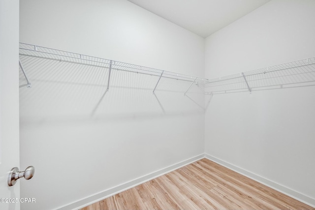 walk in closet with hardwood / wood-style flooring