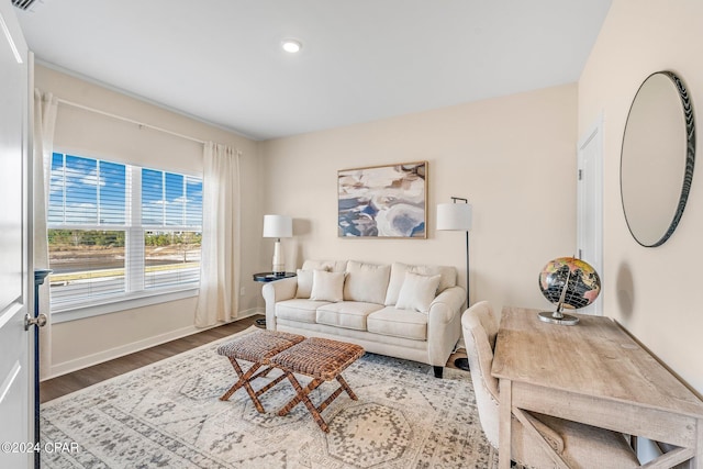 living room with hardwood / wood-style flooring