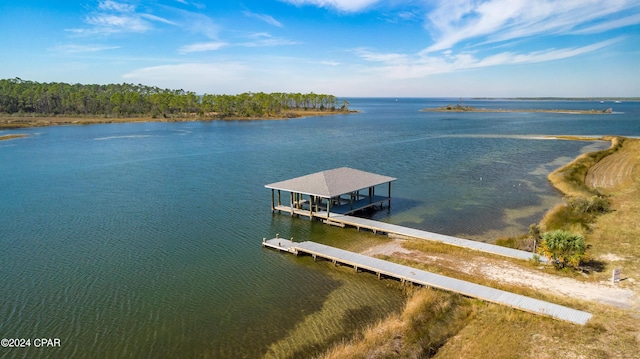 dock area with a water view