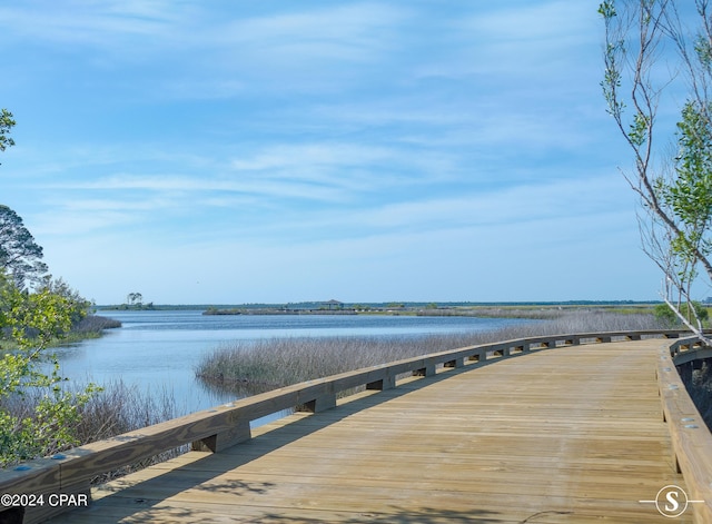 dock area with a water view