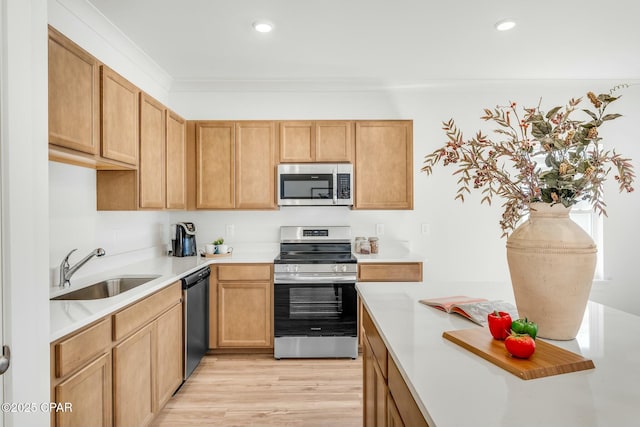 kitchen with sink, light wood-type flooring, ornamental molding, and appliances with stainless steel finishes