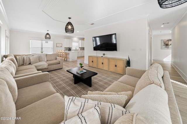 living room featuring light wood-type flooring and crown molding