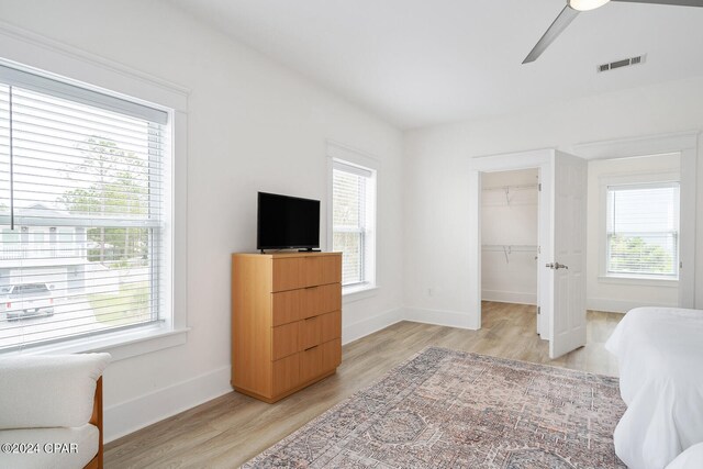 bedroom featuring ceiling fan, a closet, light wood-type flooring, and a walk in closet