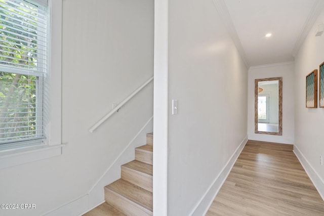 interior space featuring wood-type flooring and ornamental molding