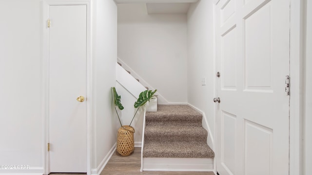 stairway with wood-type flooring