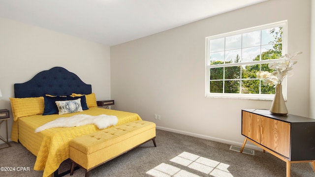 bedroom with carpet flooring