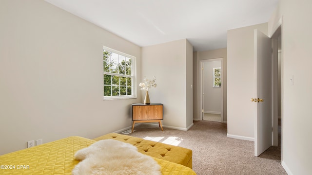 bedroom featuring carpet flooring