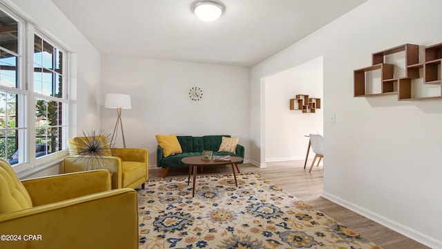 sitting room with hardwood / wood-style floors and a wealth of natural light