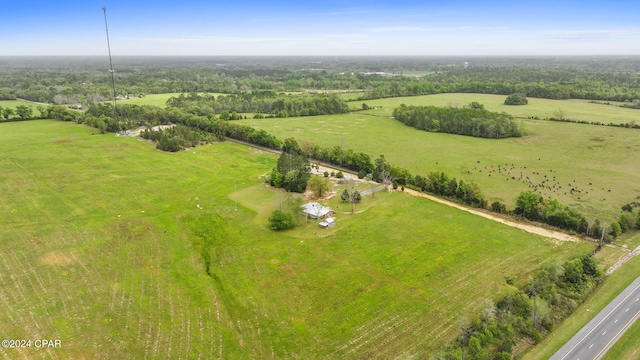 bird's eye view featuring a rural view