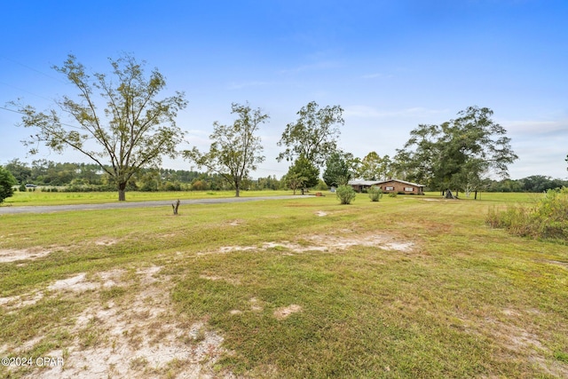 view of yard featuring a rural view
