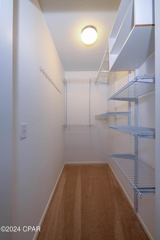 walk in closet with carpet flooring