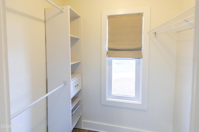 view of spacious closet