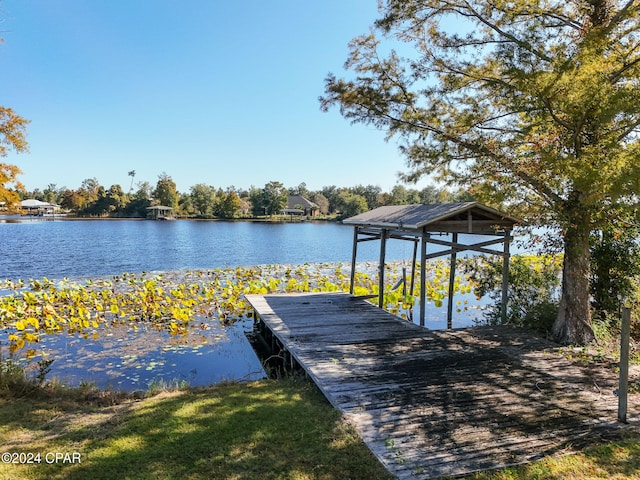 dock area featuring a water view