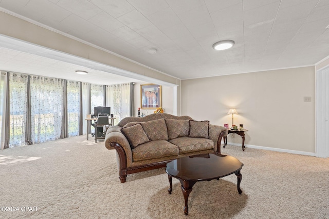 carpeted living room with ornamental molding