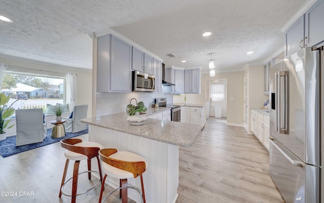 kitchen with plenty of natural light, light wood-type flooring, and appliances with stainless steel finishes