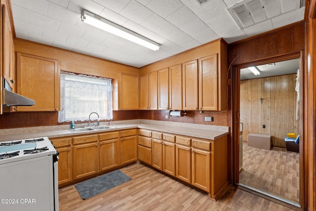 kitchen with light hardwood / wood-style floors, wood walls, white stove, and sink