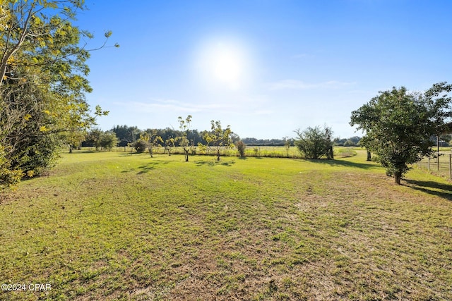 view of yard featuring a rural view