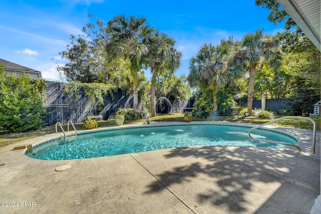 view of pool featuring a patio area