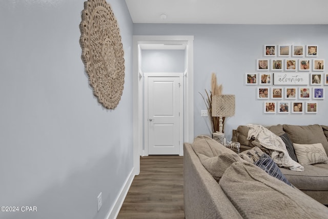 living room featuring dark wood-type flooring