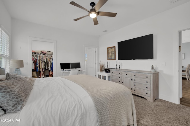 carpeted bedroom featuring a closet, ceiling fan, and a walk in closet