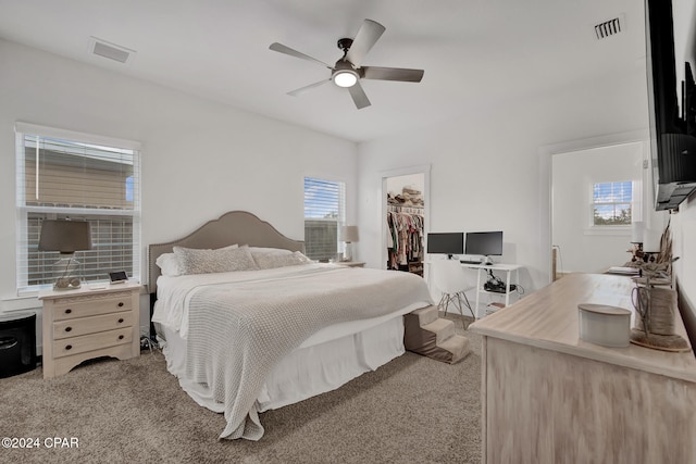 carpeted bedroom with a walk in closet, multiple windows, a closet, and ceiling fan