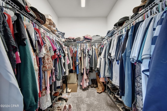 walk in closet with carpet