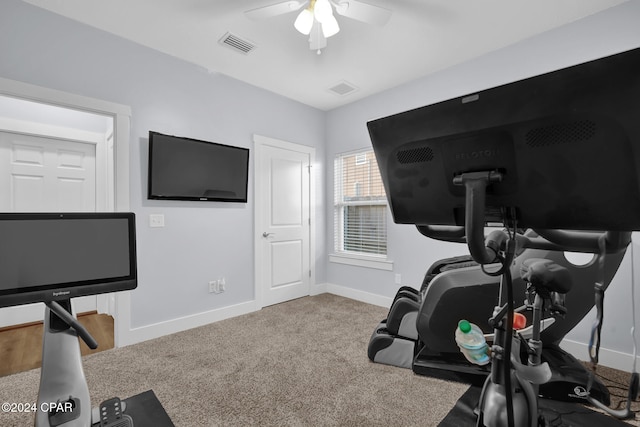 exercise area featuring ceiling fan and carpet