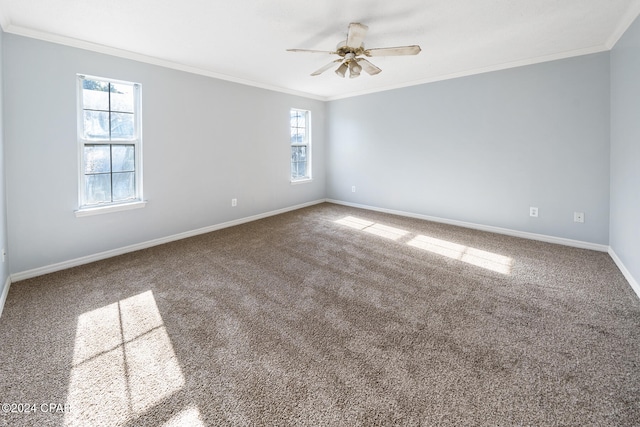 carpeted spare room with plenty of natural light, ceiling fan, and crown molding