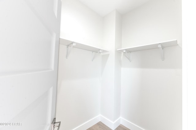 walk in closet featuring light wood-style flooring