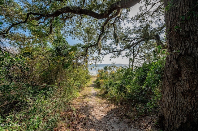 view of nature featuring a water view