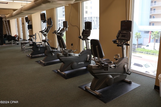 exercise room with a healthy amount of sunlight and carpet flooring