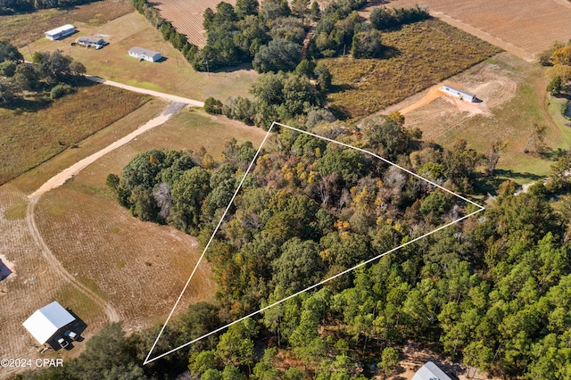 Listing photo 3 for LOT9 Creek Rd, Bonifay FL 32425